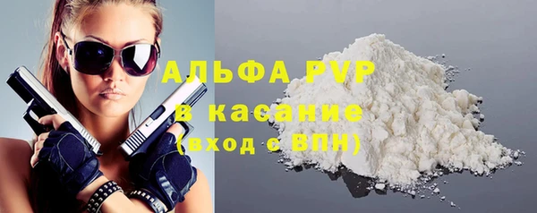 индика Алексин