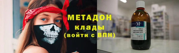 индика Алексин