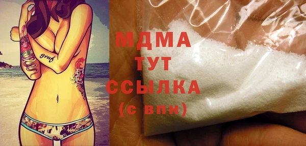 индика Алексин