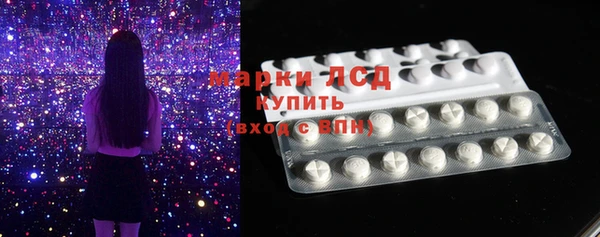 индика Алексин