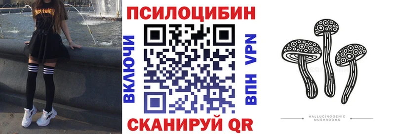 ОМГ ОМГ ссылки  Новозыбков  Псилоцибиновые грибы Psilocybine cubensis  где купить наркотик 