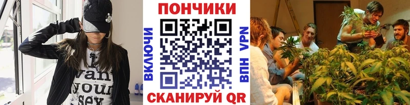 Марихуана сатива  Новозыбков 